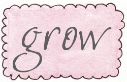 pink rect scallop grow